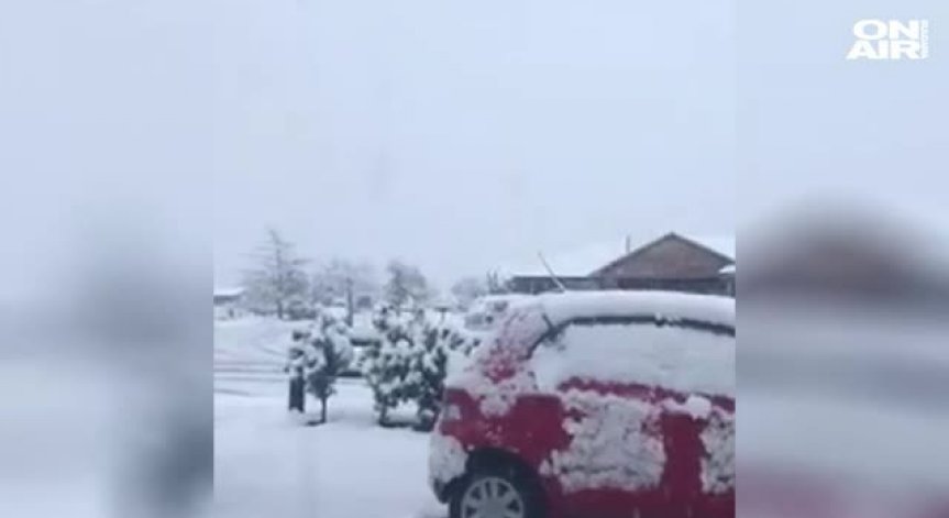 Огромни снежни преспи затрупаха Северна Нова Зеландия