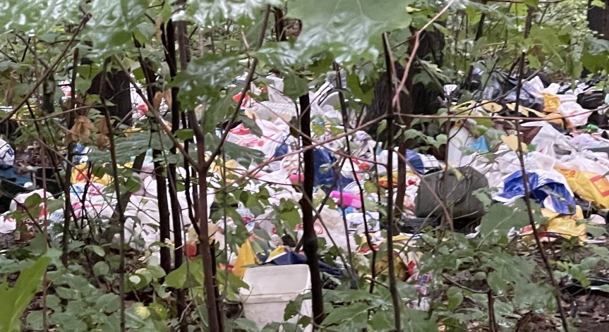 В Helpbook ни алармираха за незаконно сметище и сеч в София