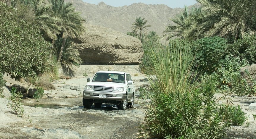 Водещите автомобилни компании със свити печалби от 10 г. насам