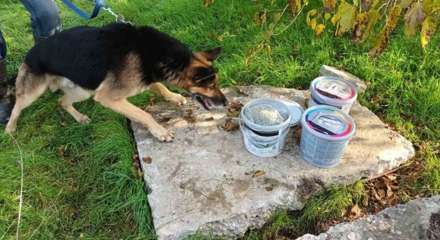 Джино надушил 600 г амфетамин и килограм марихуана.