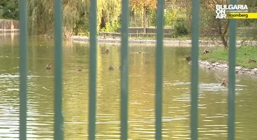 Затвориха Зоопарка в София