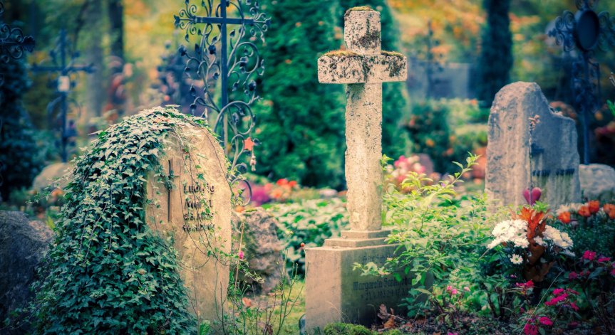 Ню Йорк узакони 