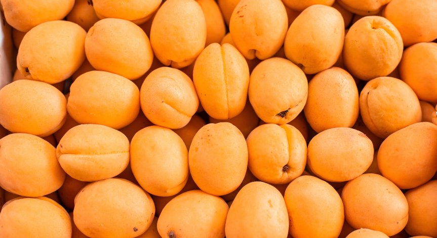 Кайсията наистина е полезна за зрението и очите заради наличието на витамин А и бета-каротин.