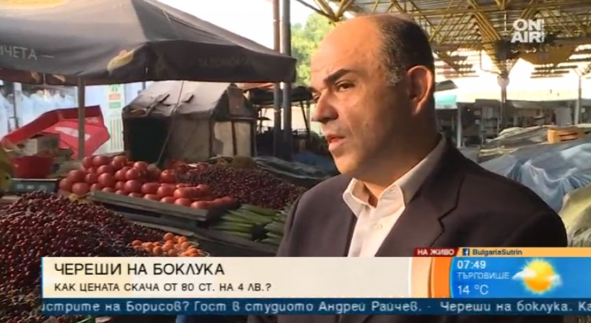 Голяма част от черешопроизводителите не знаели как и къде да продават