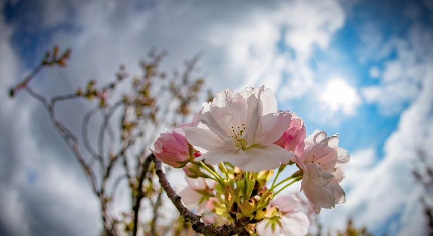 Уикендът идва с облаци и максимални температури до 13°, но без валежи