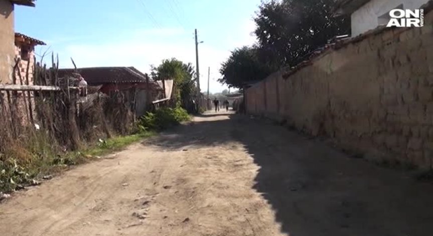 Роми, хванати с каруци незаконна сеч пребиха 3 горски служители