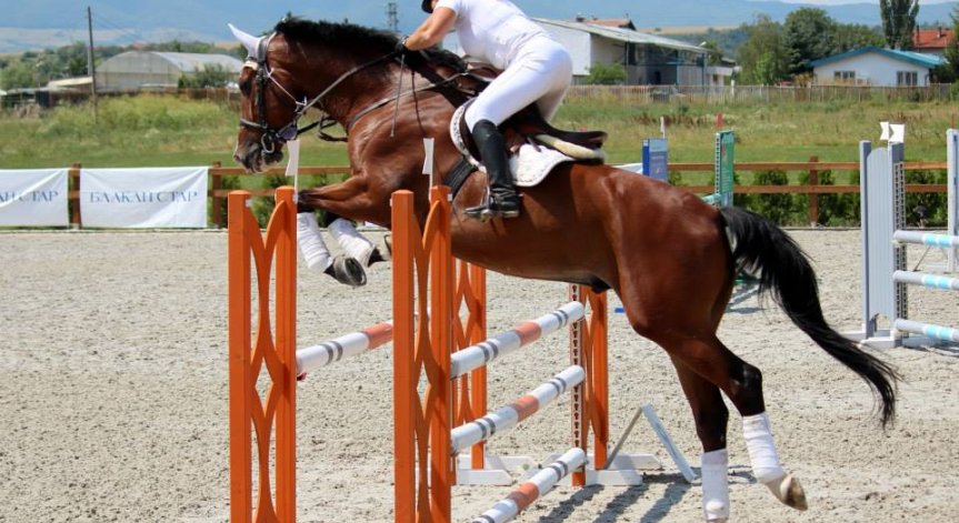 Конен спорт с прескачане на препятствия ДНЕС