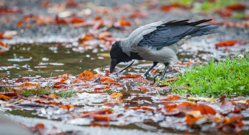 Времето в неделя: Облаци и валежи