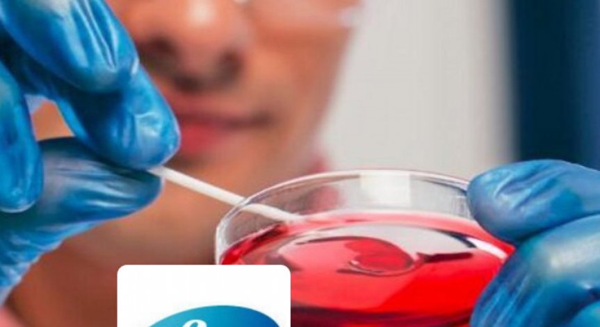 Pfizer са потърсили Actavis за евентуална сделка