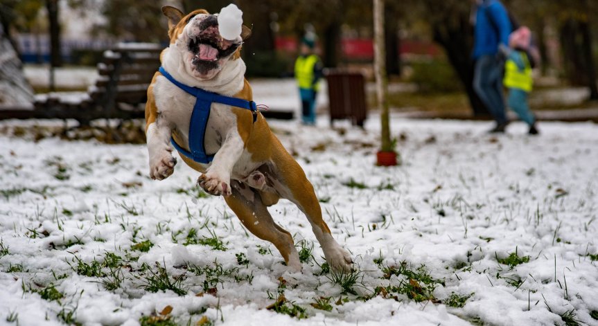 Продължава почистването.