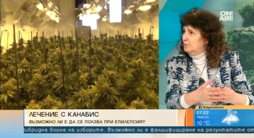 Родители на деца с епилепсия искат легализация на маслото от канабис