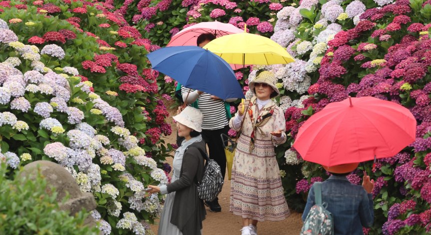 Япония често е засягана от високи температури.