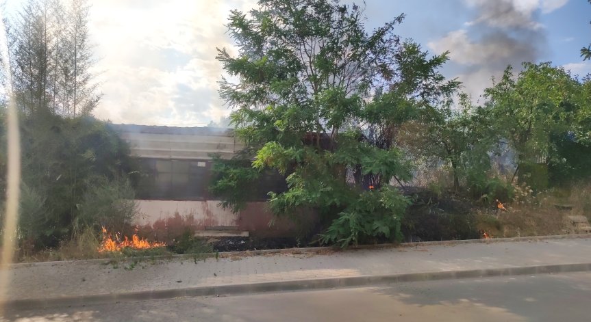 Овладяха пожара край над Калугерово и Лесичово