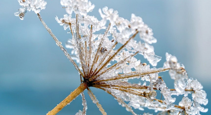 Облаците се сгъстяват, ето къде започва да вали дъжд и къде сняг