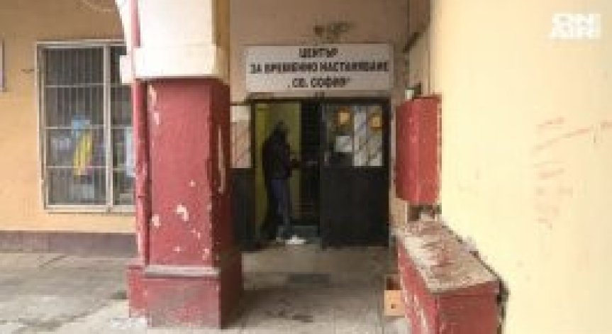 Приютите за бездомни се пълнят при минусовите температури