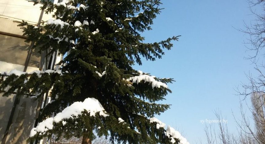 Снежен Армагедон в САЩ