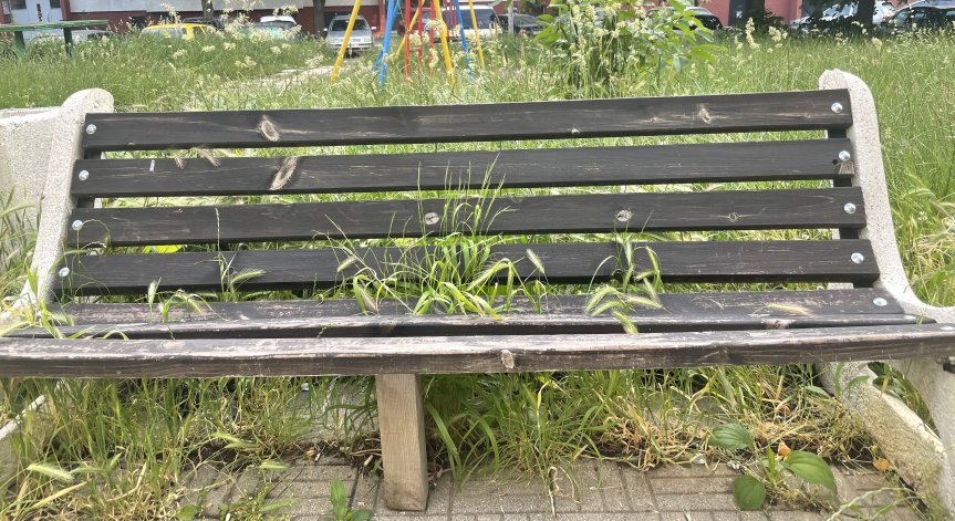 Детска площадка в София: Избуяла трева, пясъчникът е тоалетна за животни