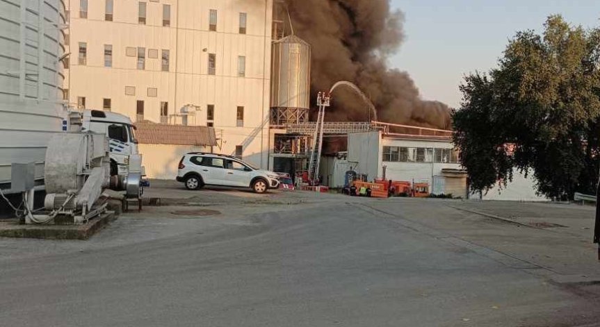 Експерти търсят причините за пожара в завода за храни и фуражи в Ловеч