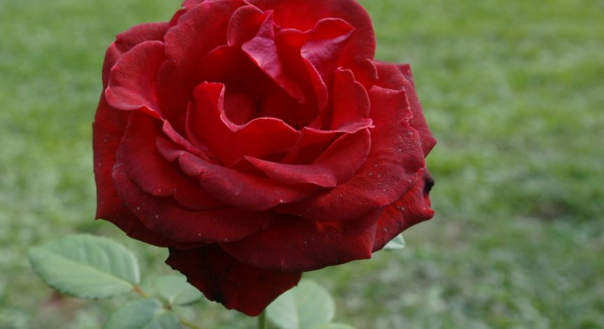 3-4% ръст в туризма през 2015: Световната организация по туризъм