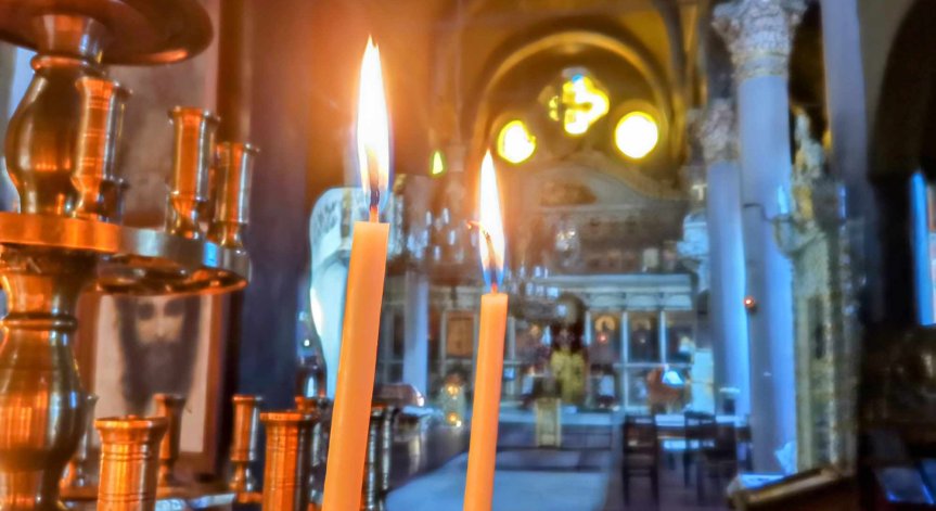 Те са символ на сила и жизненост.