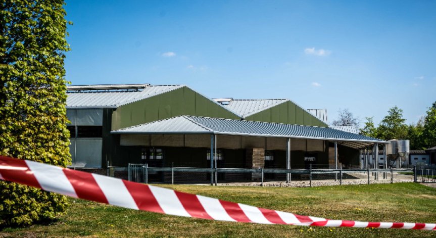 Втори случай на заразен човек с Ковид-19 от норка в Нидерландия