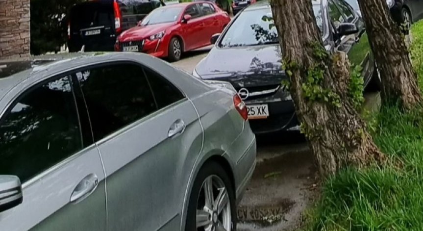 При всяка буря тополи опитват да влязат в жилищен блок в столичния 