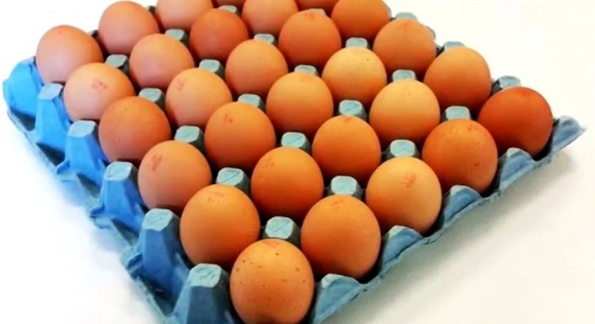 Германски супермаркети изтеглиха яйца, заразени с фипронил