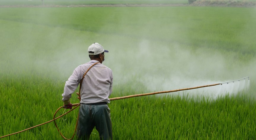 Астма, диабет, рак, обриви... Пестицидите тровят, а употребата им нараства