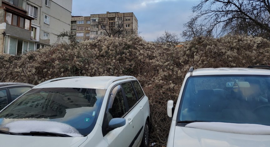 Площадка и паркинг в София са превзети от висока растителност и боклуци