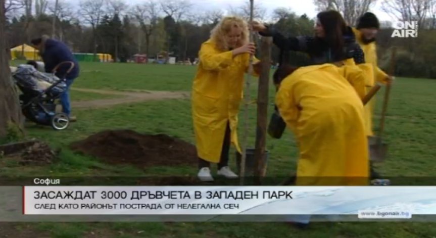 Засаждат 3 000 дръвчета в Западен парк в столицата