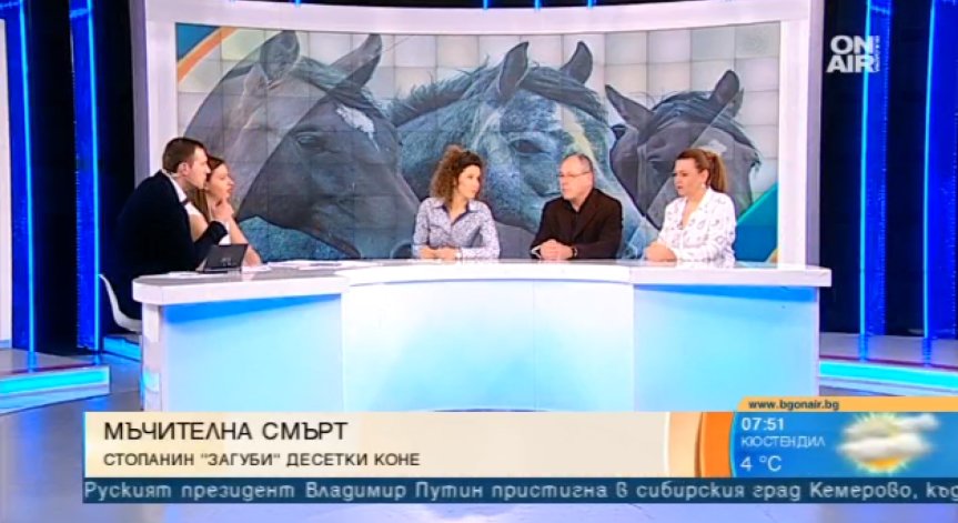Прокуратурата се заема с жестокия случай на измрелите от глад коне