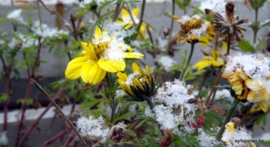 НИМХ обяви жълт код за поледици в цялата страна и силен вятър по Черноморието