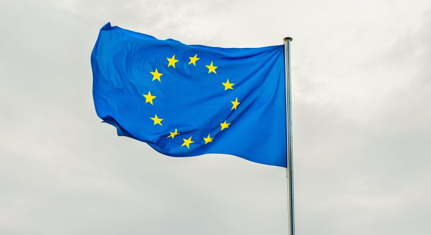 ЕС определи насилието на протестите в Сърбия като неприемливо