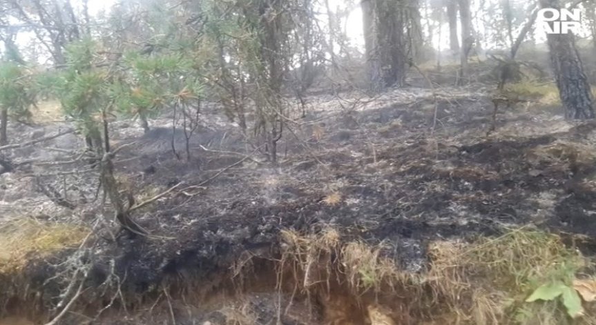 Трети ден пожарникари се борят с огъня край Девин