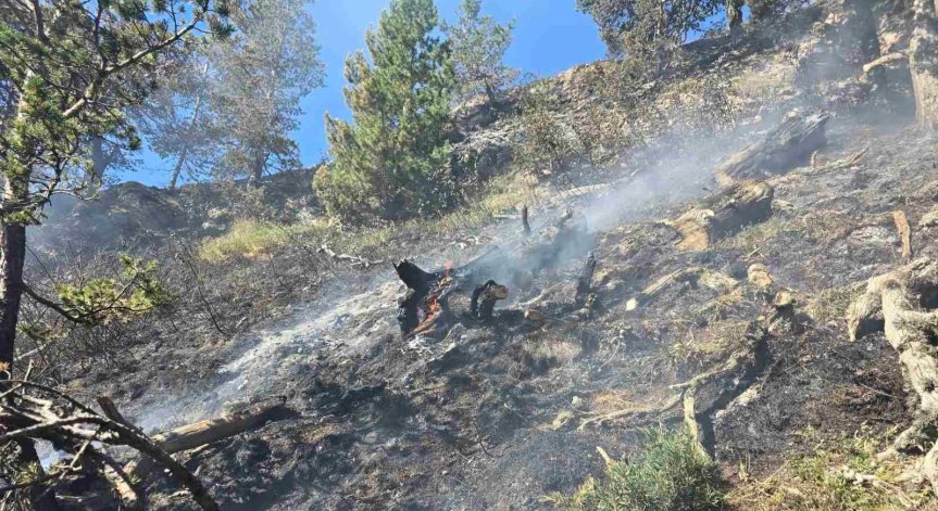 Опасност за населени места няма.