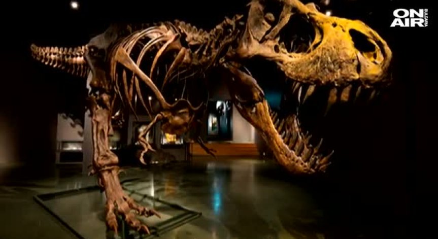 Продават скелет на тиранозавър, живял преди 115 млн. години