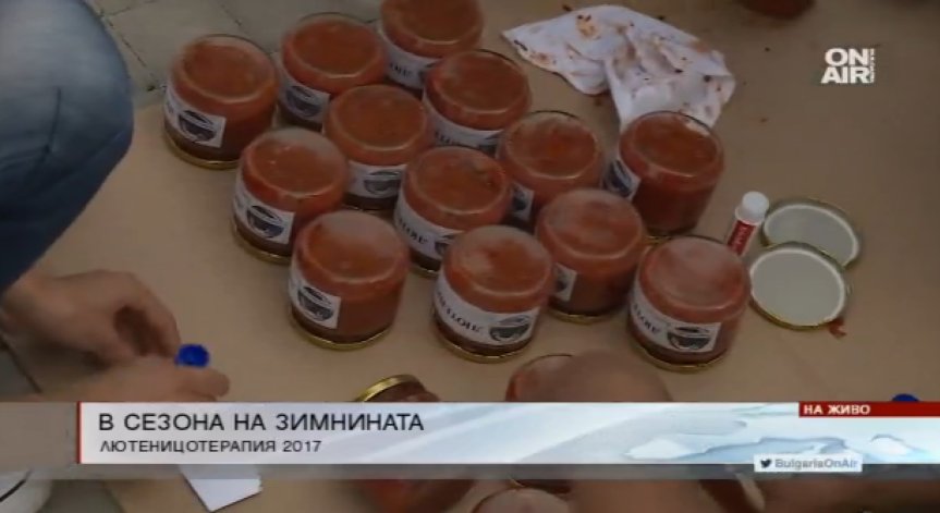 Лютеницотерапия в село Пожарево