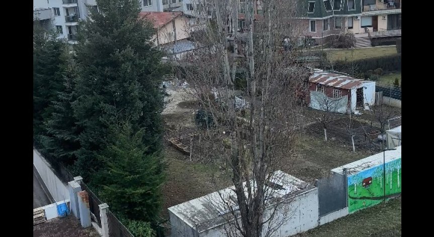 Сигнал: Денонощно лаещи кучета в 