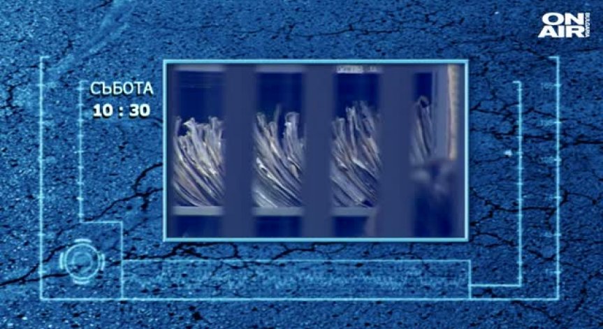 Нови права за длъжниците