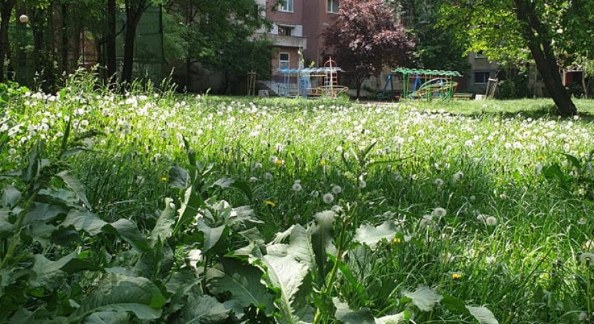 Спортни игрища, детски площадки - занемарени, потънали в трева