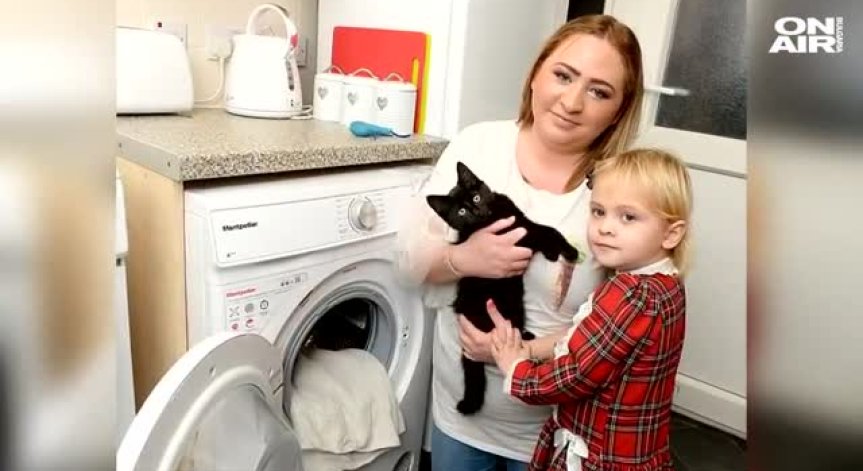 Като по чудо: Коте оцеля, прекарвайки 20 мин. в работеща пералня