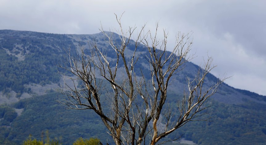 Облачно и ветровито време ни очаква днес, но без валежи