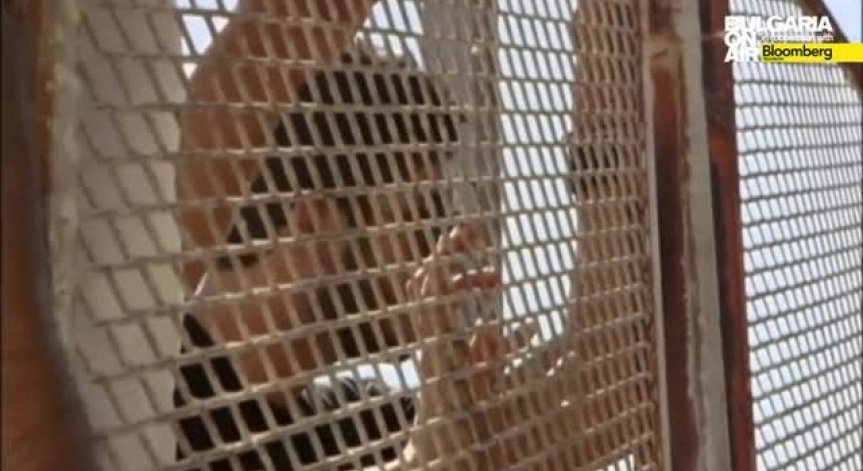 Bild: Мюнхен на границата на колапса