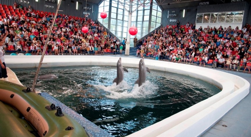 Безплатни представления за децата в Делфинариума във Варна за 1 юни
