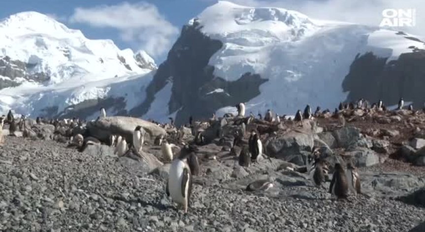 Отпадъците на човечеството достигнаха до Антарктида