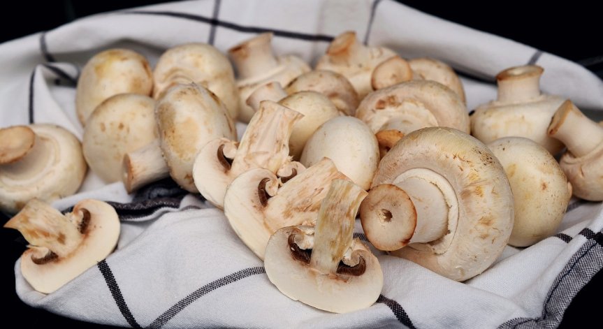 Как да си набавите витамин D, ако сте вегетарианец?