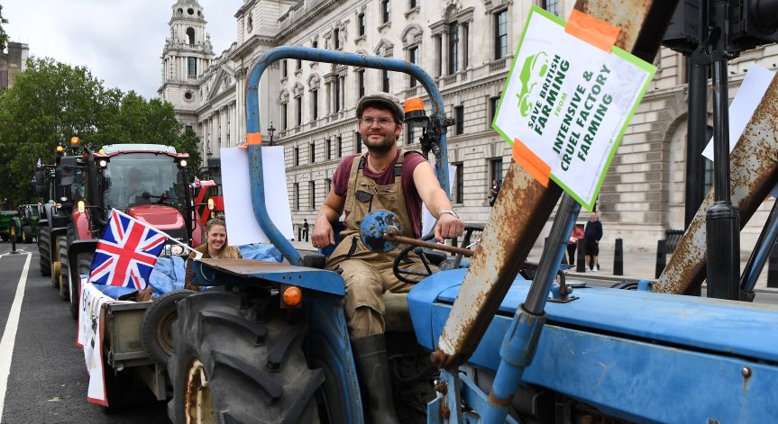 Малко храна, много бюрокрация: Северна Ирландия не изглежда добре след Brexit