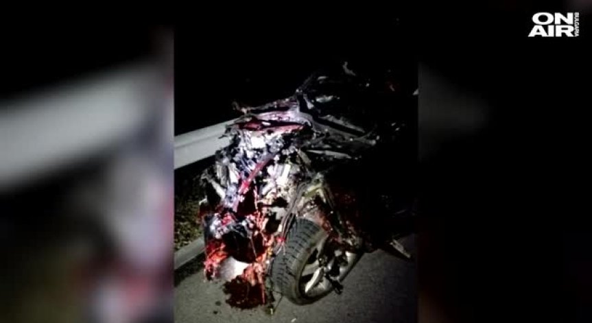 11 диви прасенца причиниха тежка катастрофа на 