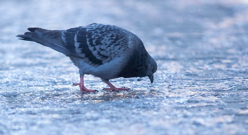 Облаци и дъжд в края на седмицата, в планините ще е снежно и ветровито