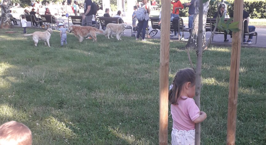 От Helpbook: Парк Заимов се е превърнал в кучешки, страх ме е за децата 